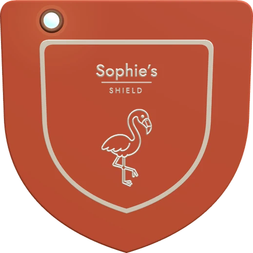 Sophie's flamingo Shield